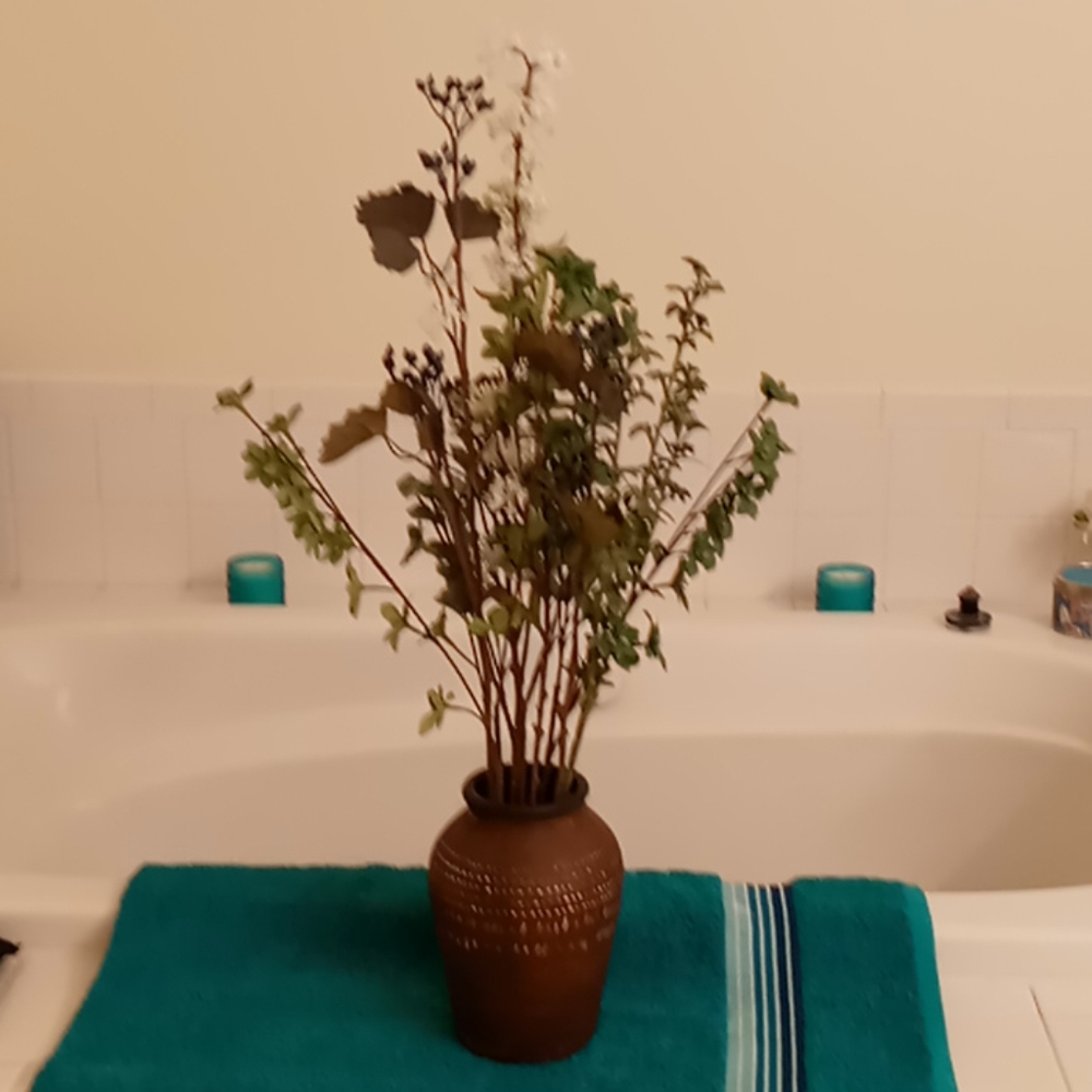Plant w/ vase